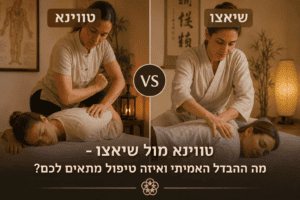טווינא מול שיאצו
